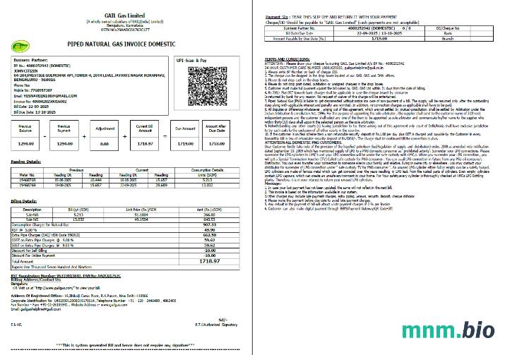 India Gail Gas Limited szablon rachunku za media w formatach Word i PDF, 2 strony